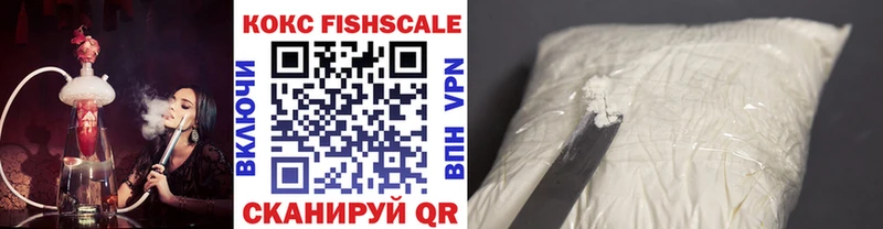 COCAIN Fish Scale  МЕГА сайт  Глазов  купить  