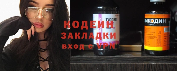 гашик Верея