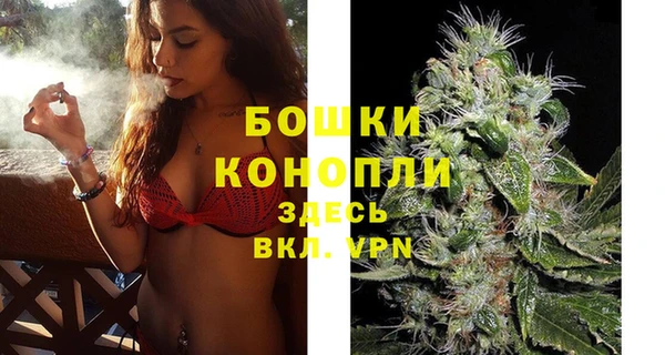 гашик Верея