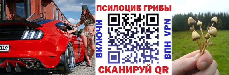 Псилоцибиновые грибы мухоморы  Глазов 